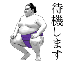 The Sumo Wrestlers sticker #11082265