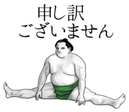 The Sumo Wrestlers sticker #11082266