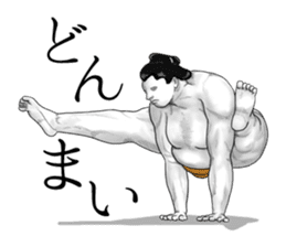 The Sumo Wrestlers sticker #11082267