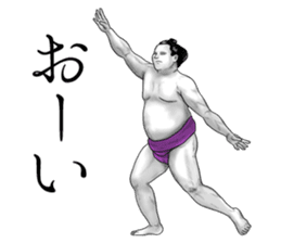 The Sumo Wrestlers sticker #11082268