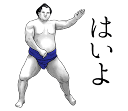 The Sumo Wrestlers sticker #11082269