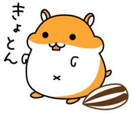 Chubbiness, ham ham.(Syrian hamster) sticker #11083107