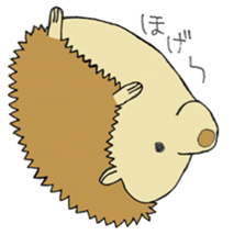 prechan hedgehog sticker #11083562