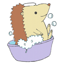 prechan hedgehog sticker #11083566