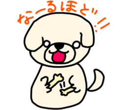 Bichon Frise of the sheep cut sticker #11083872