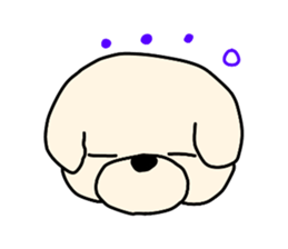 Bichon Frise of the sheep cut sticker #11083877