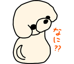 Bichon Frise of the sheep cut sticker #11083878