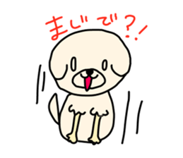 Bichon Frise of the sheep cut sticker #11083879