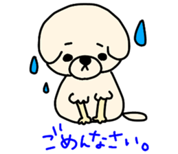 Bichon Frise of the sheep cut sticker #11083880