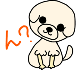 Bichon Frise of the sheep cut sticker #11083882