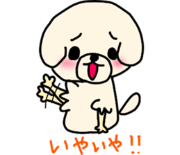 Bichon Frise of the sheep cut sticker #11083888