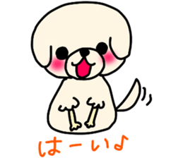 Bichon Frise of the sheep cut sticker #11083889