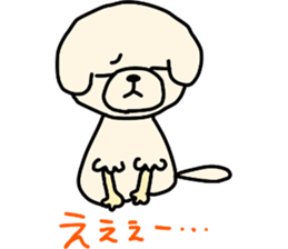 Bichon Frise of the sheep cut sticker #11083890