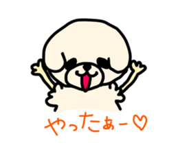 Bichon Frise of the sheep cut sticker #11083891