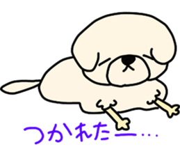 Bichon Frise of the sheep cut sticker #11083900