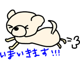 Bichon Frise of the sheep cut sticker #11083902