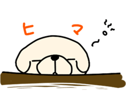 Bichon Frise of the sheep cut sticker #11083907