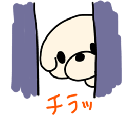 Bichon Frise of the sheep cut sticker #11083911