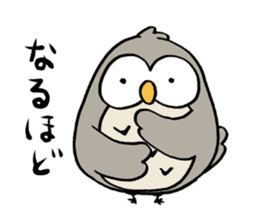 Daily life of owl 2 sticker #11084113