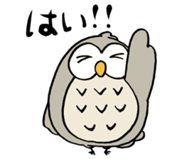 Daily life of owl 2 sticker #11084121