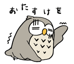 Daily life of owl 2 sticker #11084138