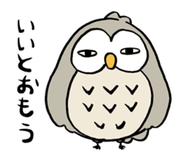Daily life of owl 2 sticker #11084149