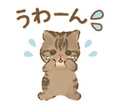 TOKOTOKO CIRCUS -Many cute Cats- sticker #11085298