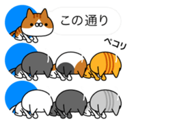 Cats Avatars sticker #11087402