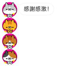 Cats Avatars sticker #11087405