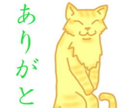 Kimari:My sweet golden cat sticker #11087549