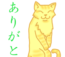 Kimari:My sweet golden cat sticker #11087549