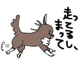 Chihuahua Kagome sticker #11088812