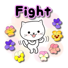 Do;words 2 to use well of the cat