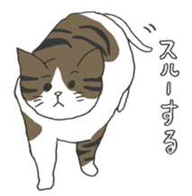 Friendly eyebrows cats sticker #11095695