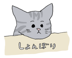 Friendly eyebrows cats sticker #11095699
