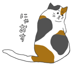 Friendly eyebrows cats sticker #11095700