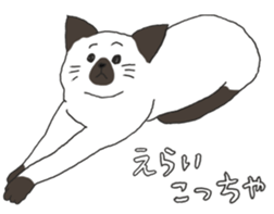 Friendly eyebrows cats sticker #11095702