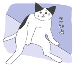 Friendly eyebrows cats sticker #11095706