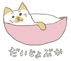 Friendly eyebrows cats sticker #11095711
