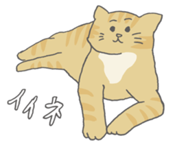 Friendly eyebrows cats sticker #11095717