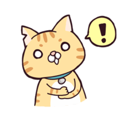 A healthy cat sticker #11095965