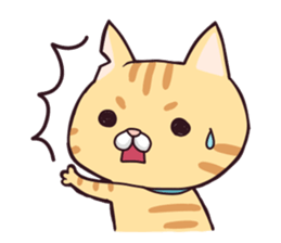 A healthy cat sticker #11095968