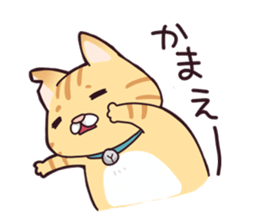 A healthy cat sticker #11095970