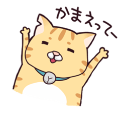 A healthy cat sticker #11095971