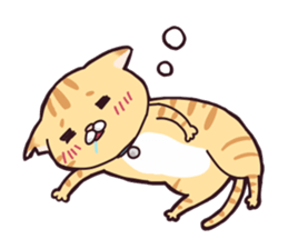A healthy cat sticker #11095972