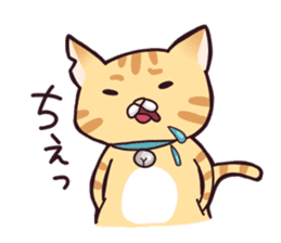 A healthy cat sticker #11095988