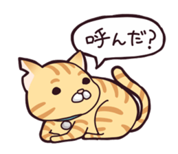 A healthy cat sticker #11095990