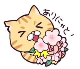 A healthy cat sticker #11095995