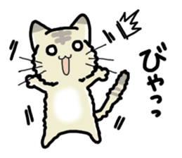 Small room of Toranosuke sticker #11102855