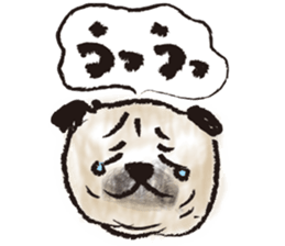 PUG's  & Brussels sticker #11103852